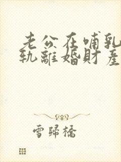 老公在哺乳期出轨离婚财产怎么判