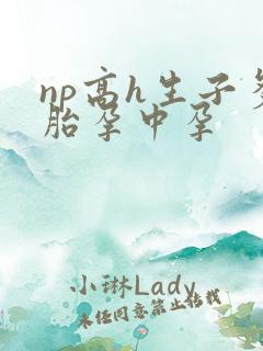 np高h生子多胎孕中孕