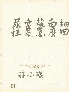 尿常规白细胞阳性是怎么回事