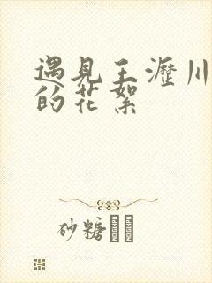 遇见王沥川同居的花絮