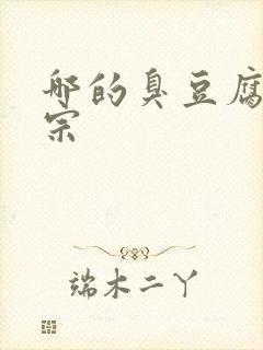 哪的臭豆腐最正宗