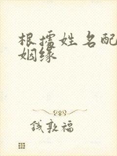 根据姓名配对测姻缘