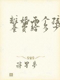 离婚两个孩子抚养费给多少钱一个月