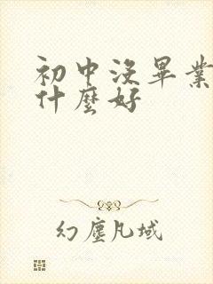 初中没毕业学点什么好