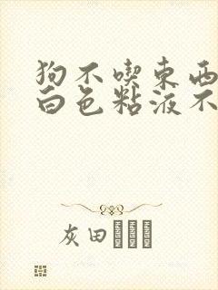 狗不吃东西呕吐白色粘液不拉稀