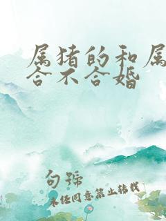 属猪的和属蛇的合不合婚