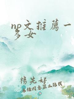 np文推荐一男多女