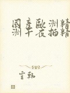 国产欧洲精品亚洲午夜拍精品