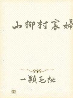 山柳村寡妇情史