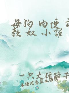 母狗 肉便 调教 奴 小说