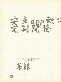 安卓app软件定制开发