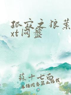 孤寂之狼叶凡txt网盘