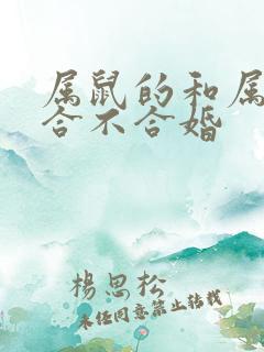 属鼠的和属蛇的合不合婚