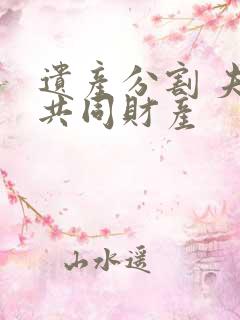 遗产分割 夫妻共同财产