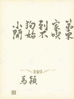 小狗到家第二天开始不吃东西