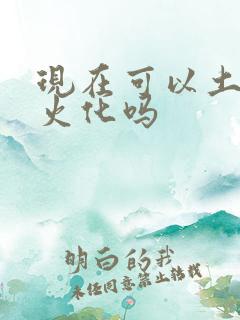 现在可以土葬不火化吗