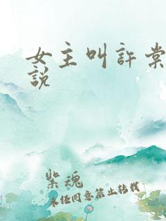 女主叫许棠的小说