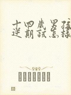 十四岁男孩子叛逆期该怎样沟通