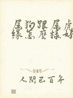 属狗跟属虎的姻缘怎么样好不好