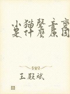 小猫声音变沙哑是什么原因