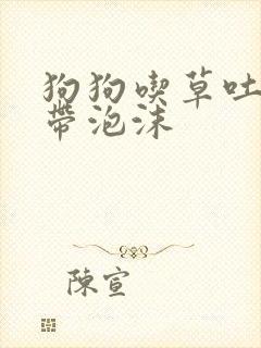 狗狗吃草吐黄水带泡沫