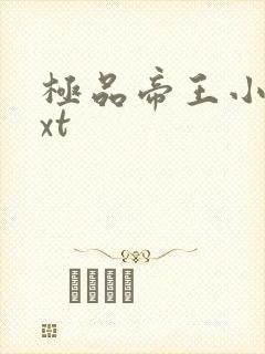 极品帝王小说txt