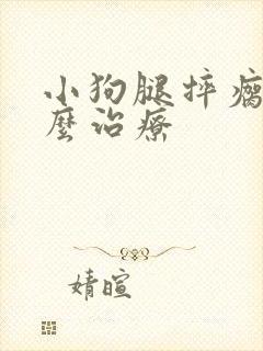 小狗腿摔瘸了怎么治疗