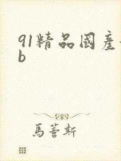 91精品国产舔b