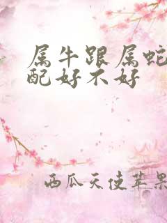 属牛跟属蛇的婚配好不好