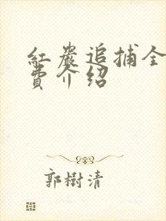 红岩追捕全集免费介绍