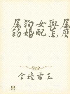 属狗女与属猴男的婚配怎么样