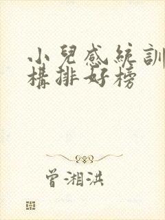 小儿感统训练机构排好榜