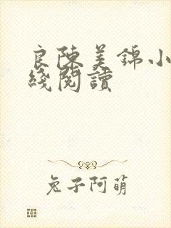 良陈美锦小说在线阅读