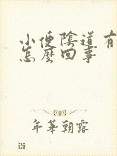 小便阴道有点疼怎么回事