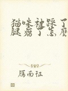 猫咪被踩了一脚腿瘸了怎么办