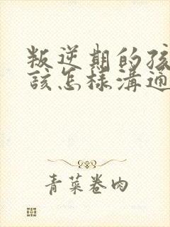 叛逆期的孩子应该怎样沟通