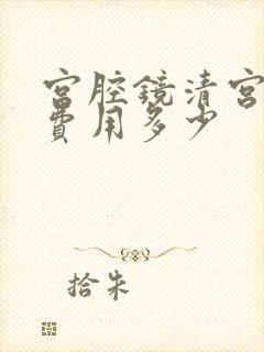 宫腔镜清宫手术费用多少