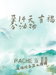 孕14天有褐色分泌物