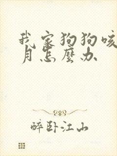 我家狗狗咳一个月怎么办