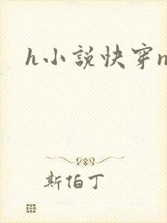 h小说快穿np