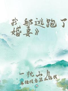 我那逃跑了的未婚妻》