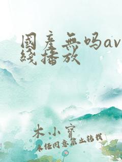 国产无吗av在线播放