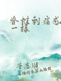 脊椎刺痛感针扎一样