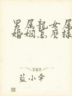 男属龙女属羊的婚姻怎么样