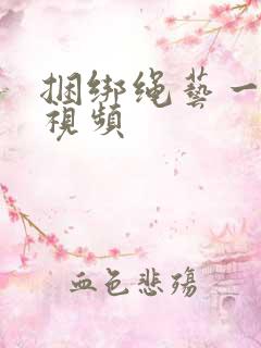 捆绑绳艺一vk视频