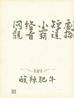 网络小短剧免费观看霸道总裁