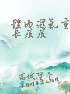 体内湿气重脸上长痘痘