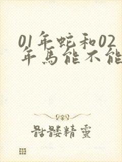 01年蛇和02年马能不能婚配