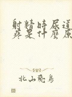 射精时尿道有点疼是什么原因呢怎么治疗