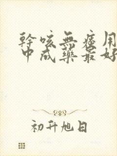 干咳无痰用什么中成药最好